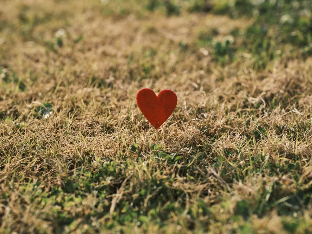 Felt heart